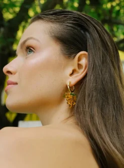 Apricot Jelly Korvakorut