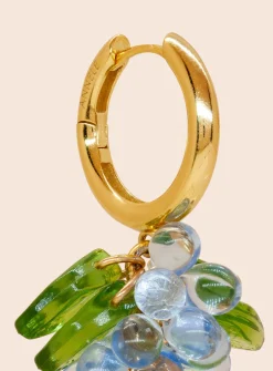 Blueberry Jelly Korvakorut