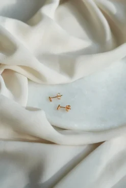 Bubbel Dot Golden Hour