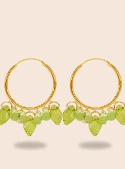 Grape Soda Korvakorut