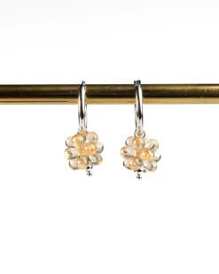 Kainu Korvakorut - Shampanja