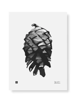 Käpy - juliste (30 x 40cm)