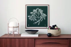 Kuusenoksa - juliste metsänvihreä 50x50cm