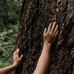 Moi Forest - After Care Hand Cream