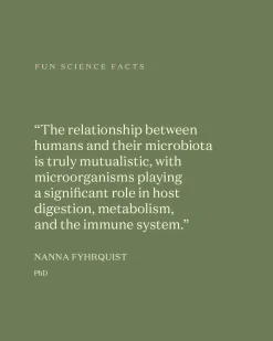 Moi Forest - Baby Cream