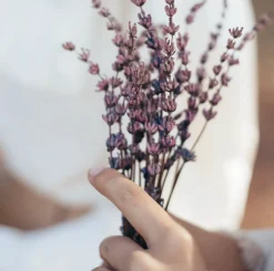 Moi Forest - Lavender After Care Hand Cream