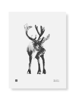 Poro - juliste (30 x 40cm)