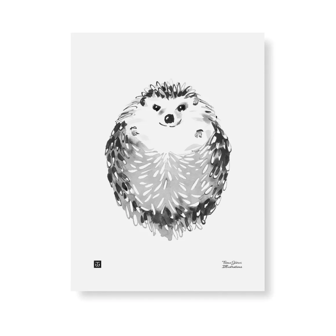 Siili - juliste 30x40cm