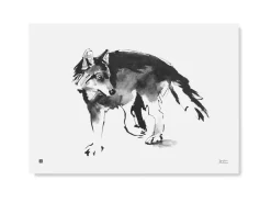 Susi - juliste (70 x 50cm)