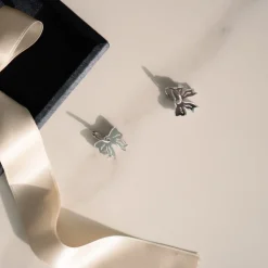 Take A Bow - korvikset - hopea