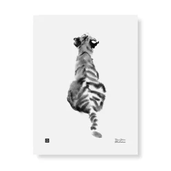 Tiikerinpoika - juliste 30x40cm