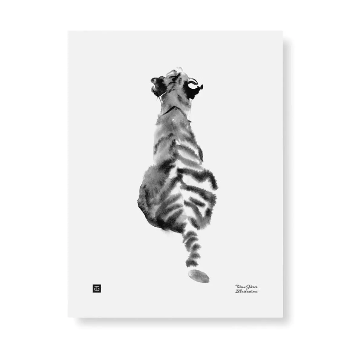 Tiikerinpoika - juliste 30x40cm