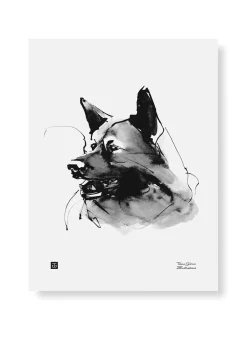 Tutkimusretkeilijä - juliste (30 x 40cm)