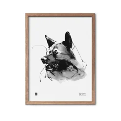 Tutkimusretkeilijä - juliste (30 x 40cm)