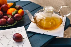 Unien talo Patalappu