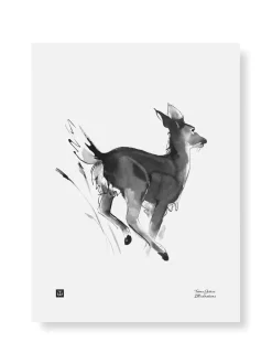 Valkohäntäpeura - juliste (30 x 40cm)