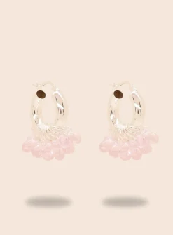 Whipped Dreams Korvakorut - Hopea